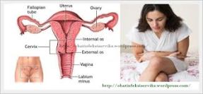 pengobatan herbal untuk peradangan di rahim